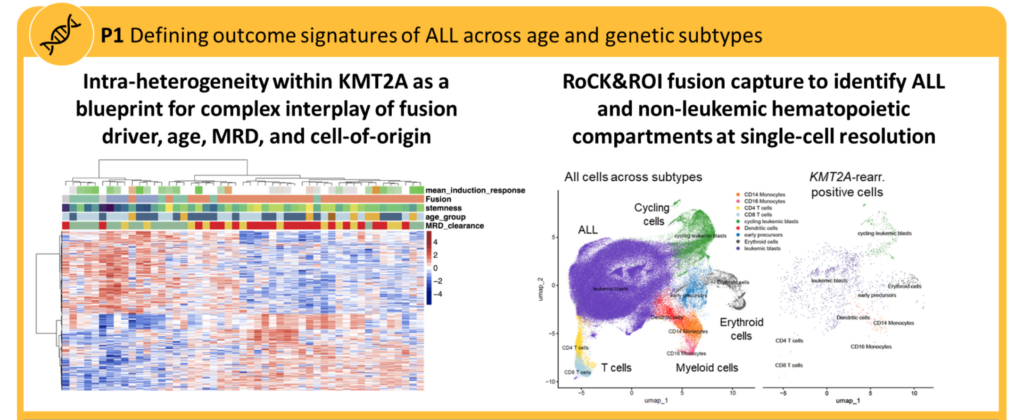 CATCH ALL P1 graphical abstract