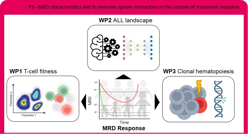 P3 graphical abstract