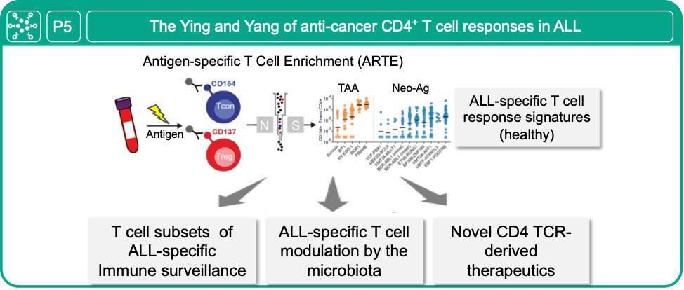 P5 graphical abstract