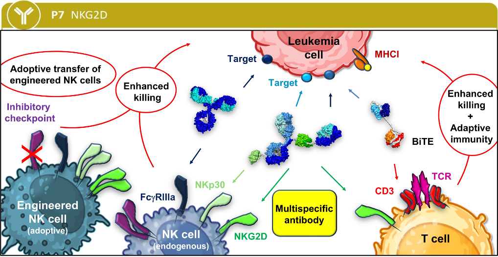 P7 graphical abstract