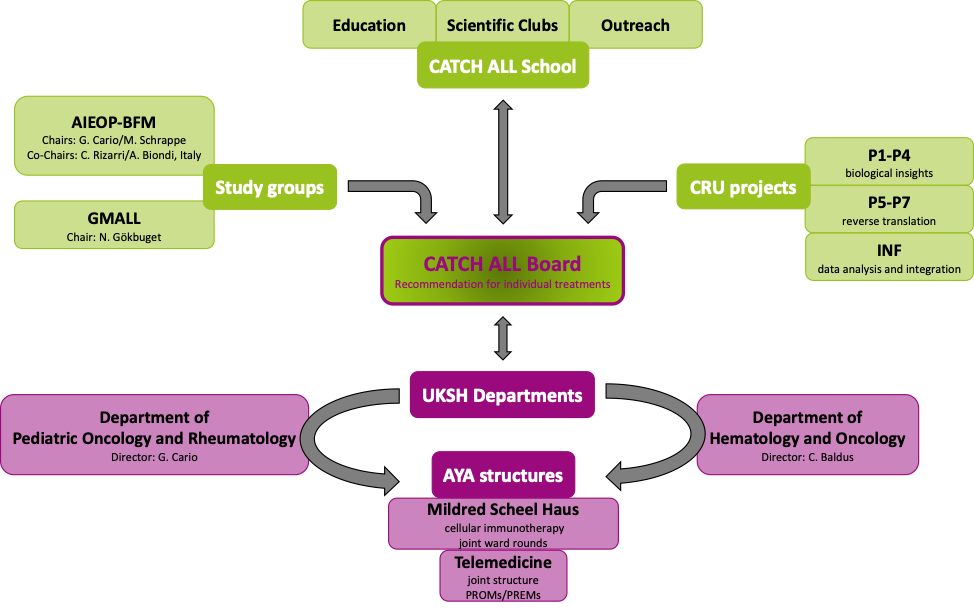 Z graphical abstract